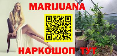 шишки Камышлов