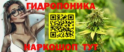 индика Канаш