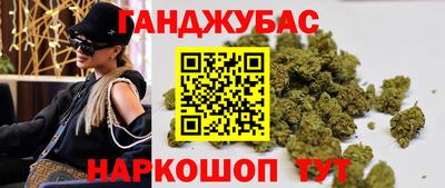 шишки Камышлов