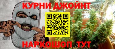 шишки Камышлов